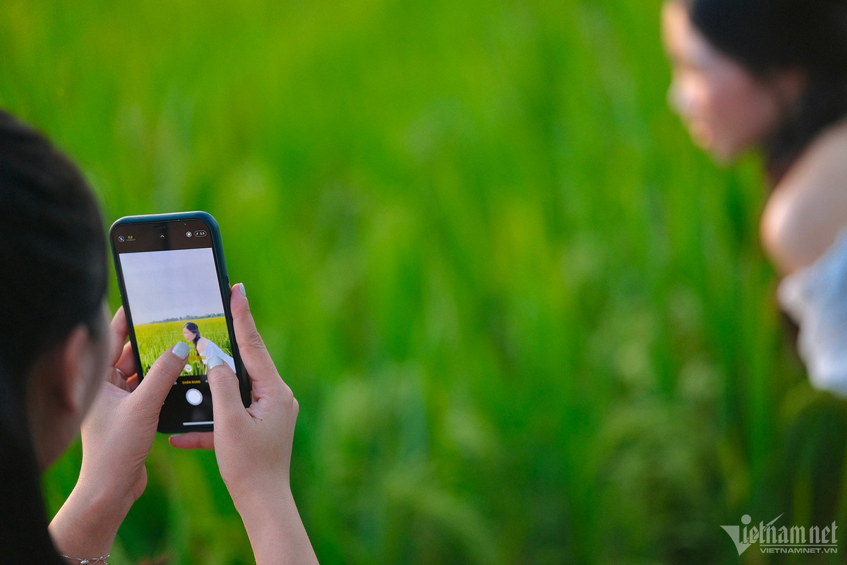 Không cần điều hòa, khách vẫn có thể tận hưởng làn gió mát do nằm giữa không gian bao la.