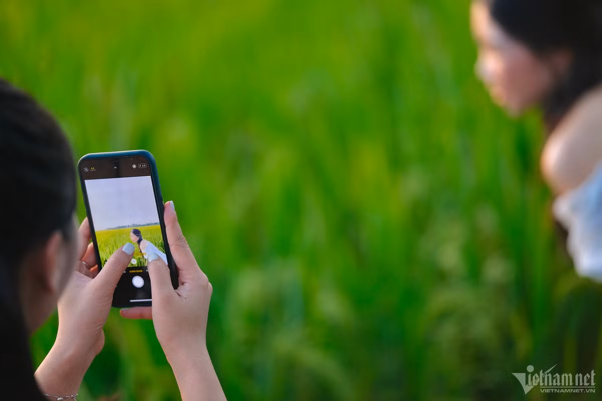 Không cần điều hòa, khách vẫn có thể tận hưởng làn gió mát do nằm giữa không gian bao la.