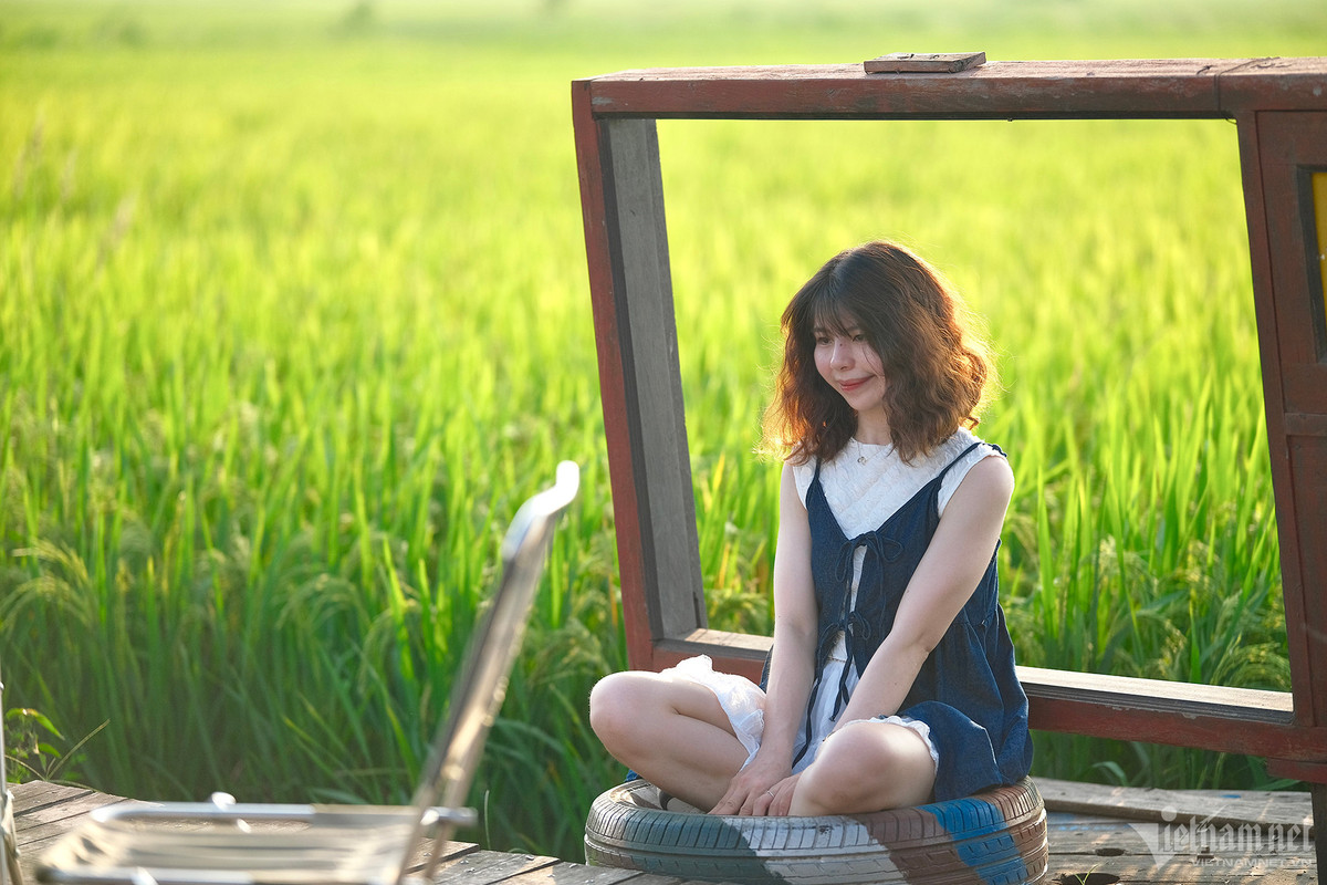 Góc check-in vút tầm mắt được nhiều người ví như "view triệu đô" trên cánh đồng lúa. Ảnh: Mạnh Hùng.