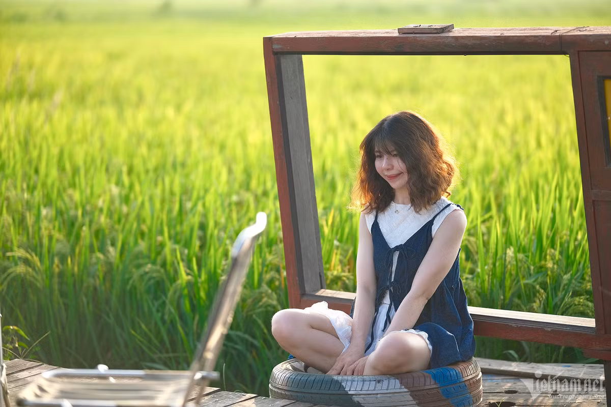 Góc check-in vút tầm mắt được nhiều người ví như "view triệu đô" trên cánh đồng lúa. Ảnh: Mạnh Hùng.