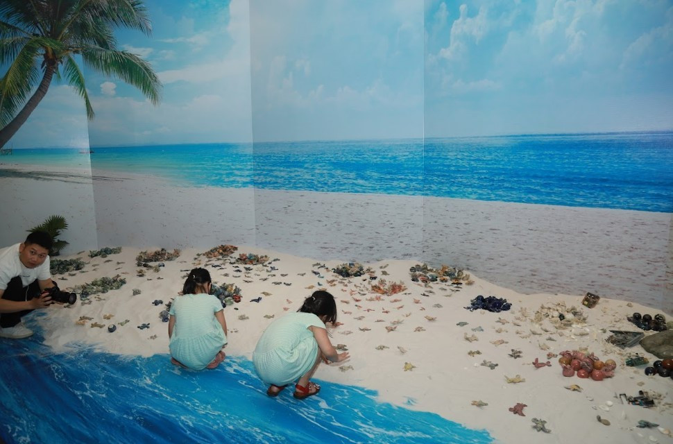 Trien lam 1001 rua bien bang gom: Thong diep bao ton rua bien-Hinh-5