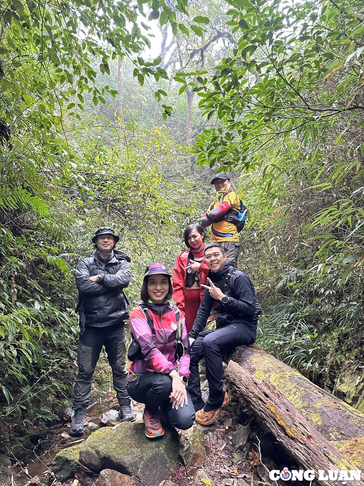 Du khách check in trong khu rừng nguyên sinh để chinh phục đỉnh Sa Mu xã Tà Xùa.