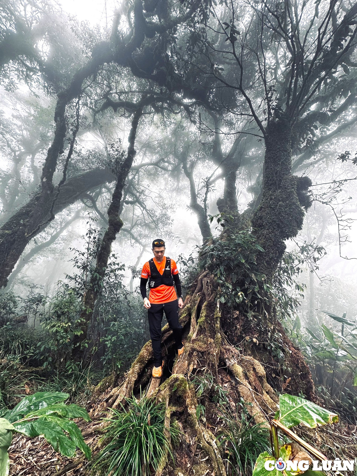 Tùy theo từng mùa, vẻ đẹp của cung trekking này cũng có sự biến đổi diệu kỳ. Nếu du khách đến Sa Mu – U Bò vào tháng ba, tháng tư sẽ may mắn được chiêm ngưỡng loài hoa đỗ quyên bung nở rực rỡ giữa sắc xanh núi rừng, cùng biển mây trắng bồng bềnh như lạc vào chốn thần tiên.