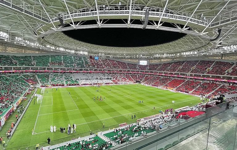 Choang ngop SVD to chuc tran Viet Nam gap Nhat Ban tai Asian Cup-Hinh-2