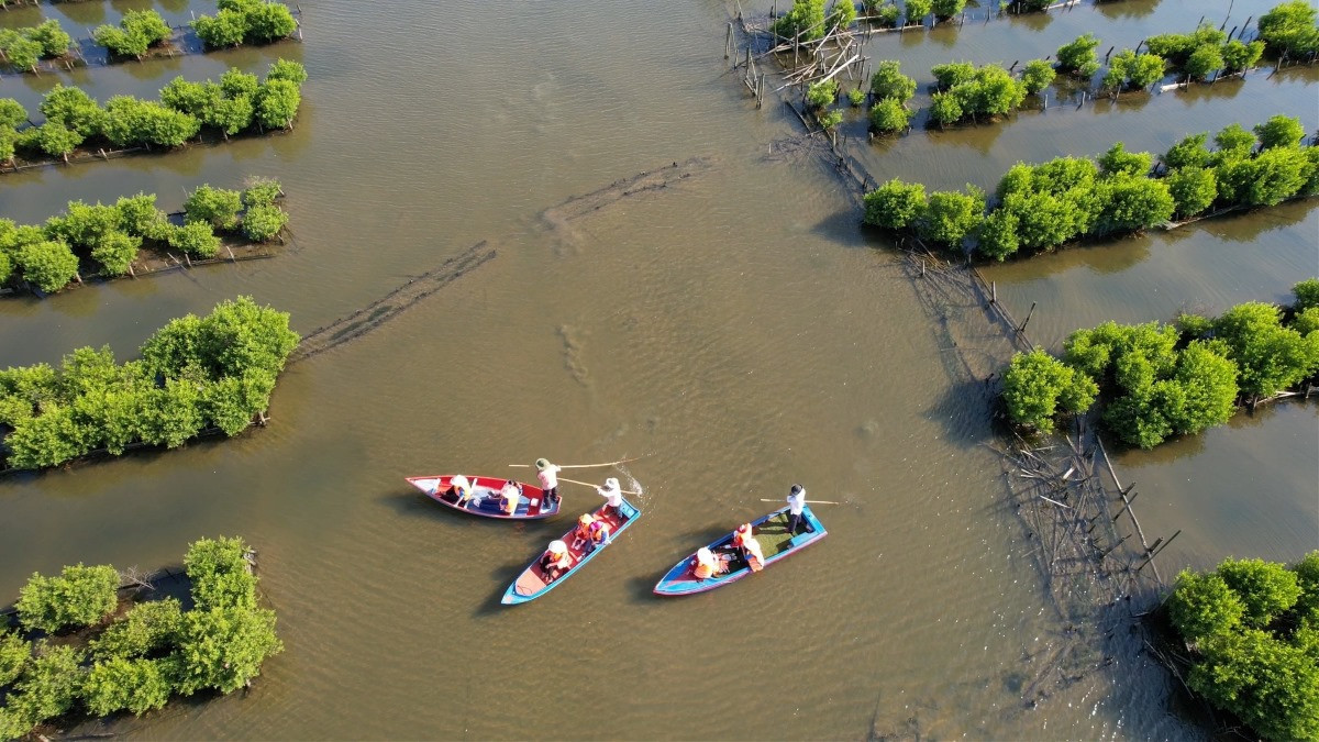  Bàu Cá Cái là rừng ngập mặn được bao bọc bởi các dãy núi ở xã Bình Thuận, huyện Bình Sơn, tỉnh Quảng Ngãi. Ảnh: Phạm Duy Tài