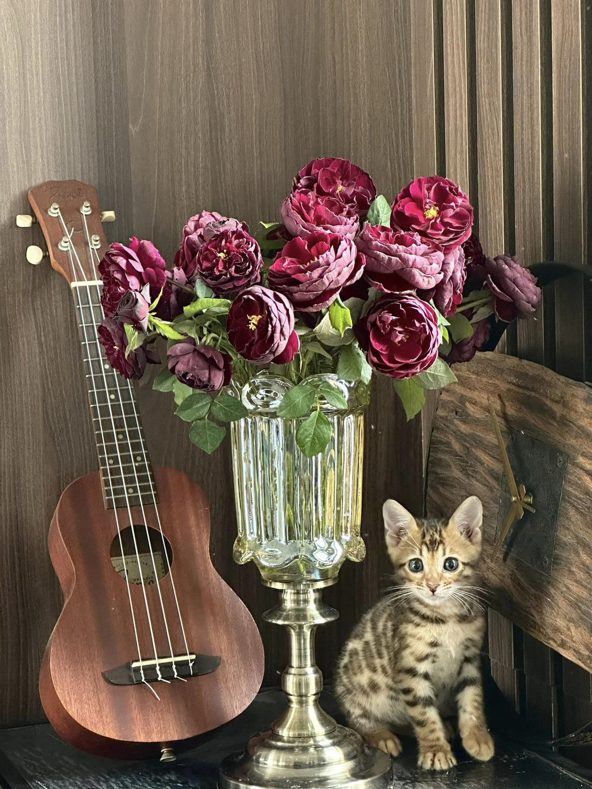 Trên trang cá nhân, nam ca sĩ cũng đăng tải dòng trạng thái vui vẻ "kể tội" chú mèo cưng, thu hút sự quan tâm của nhiều người.