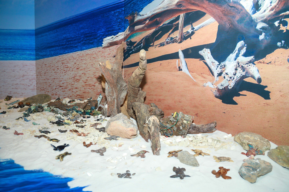 Trien lam 1001 rua bien bang gom: Thong diep bao ton rua bien-Hinh-3