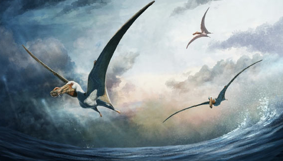 Lo dien quai vat bay 100 trieu tuoi, sai canh gap doi dai bang