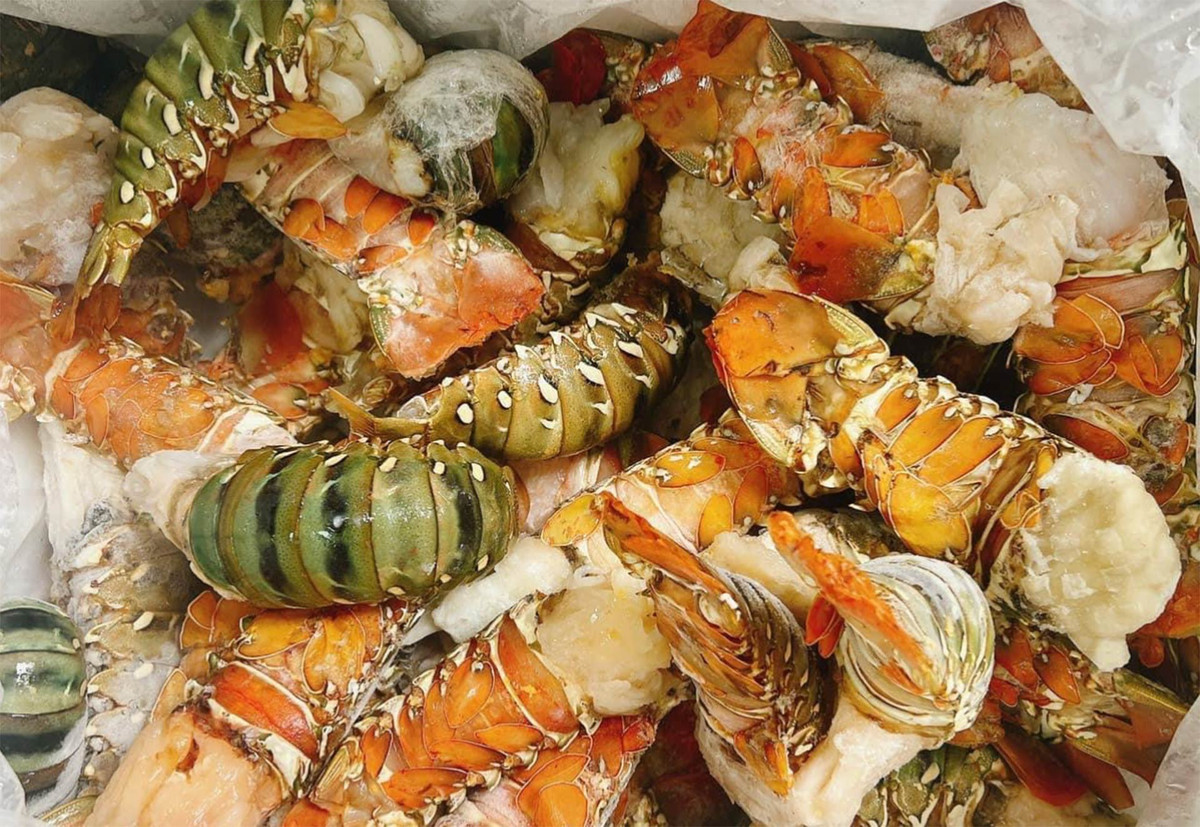 Sự thực về sầu Thái tí hon, tôm hùm bông giá siêu rẻ Su thuc ve sau Thai ti hon, tom hum bong gia sieu re