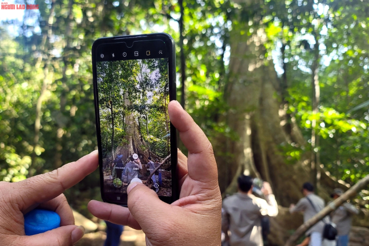 Khác với dự kiến ban đầu chỉ dừng lại khoảng 10 phút, nhiều người chúng tôi quanh quẩn ở đây hơn nửa giờ mà không muốn rời vì cảm giác choáng ngợp khi lần đầu tiên trong đời được tận mắt nhìn thấy một thân cây to và kì vĩ như vậy.