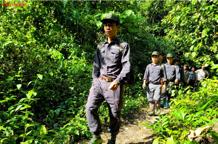 Những ngày cận Tết, chúng tôi may mắn được theo chân lực lượng bảo vệ rừng cùng các chuyên gia Tổ chức Quốc tế về Bảo tồn Thiên nhiên tại Việt Nam (WWF-Việt Nam), Liên minh Bảo tồn Thiên nhiên Quốc tế (IUCN) có một chuyến xuyên rừng, tận mắt chứng kiến hệ thống động thực vật sinh động, đa dạng của vườn.