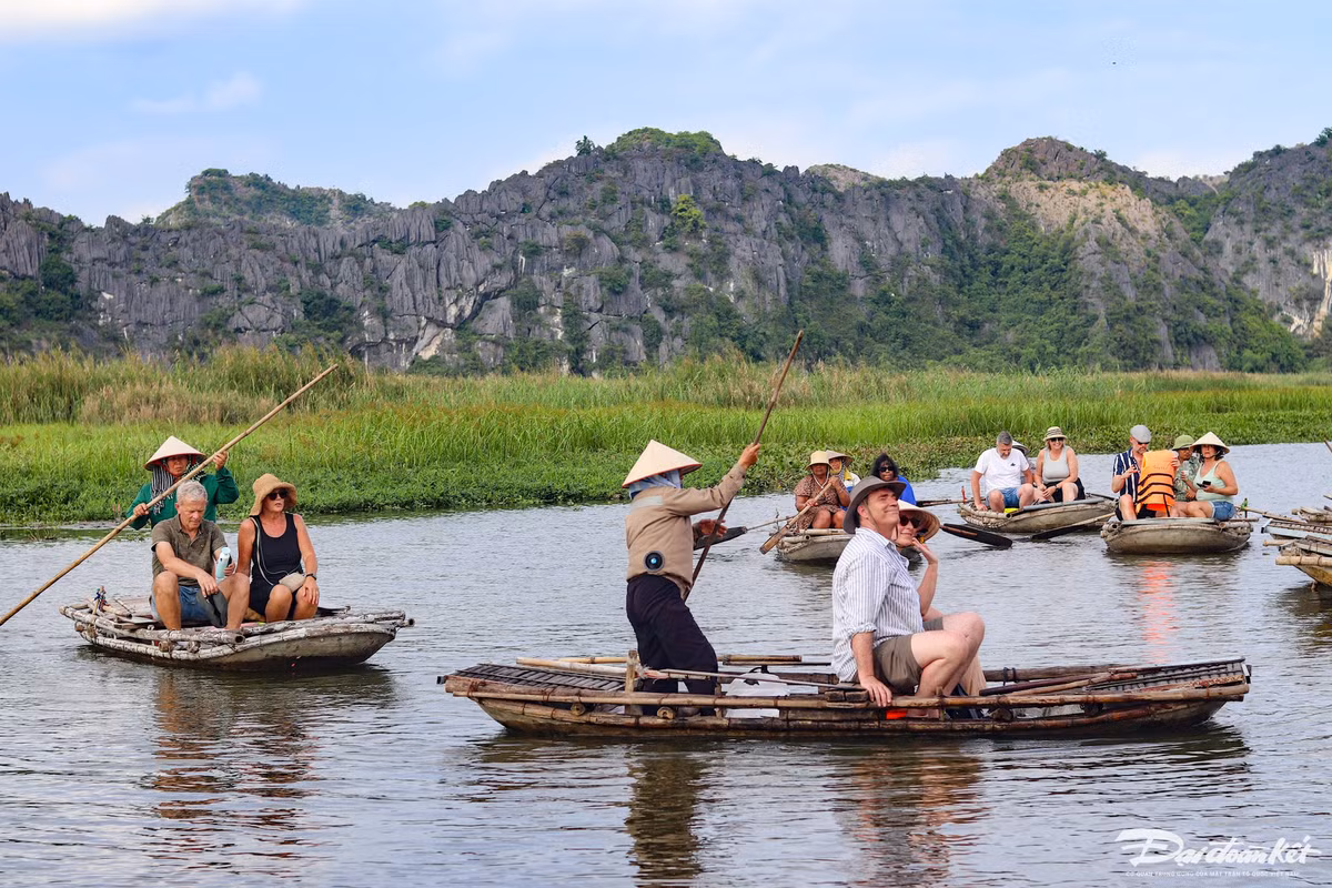 Theo Sở Du lịch tỉnh Ninh Bình, tại Khu bảo tồn thiên nhiên đất ngập nước Vân Long, hiện nay, việc làm du lịch do HTX dịch vụ du lịch sinh thái Vân Long quản lý theo mô hình cộng đồng dân cư chung tay cùng làm. Đến đầm Vân Long, thật bất ngờ khi đa phần du khách đến đây đều là khách nước ngoài chứ không phải du khách trong nước. Theo thống kê của Sở Du lịch, trong năm 2023, có tới hơn 80.000 lượt khách đến du lịch tại nơi này. Ảnh: Đình Minh