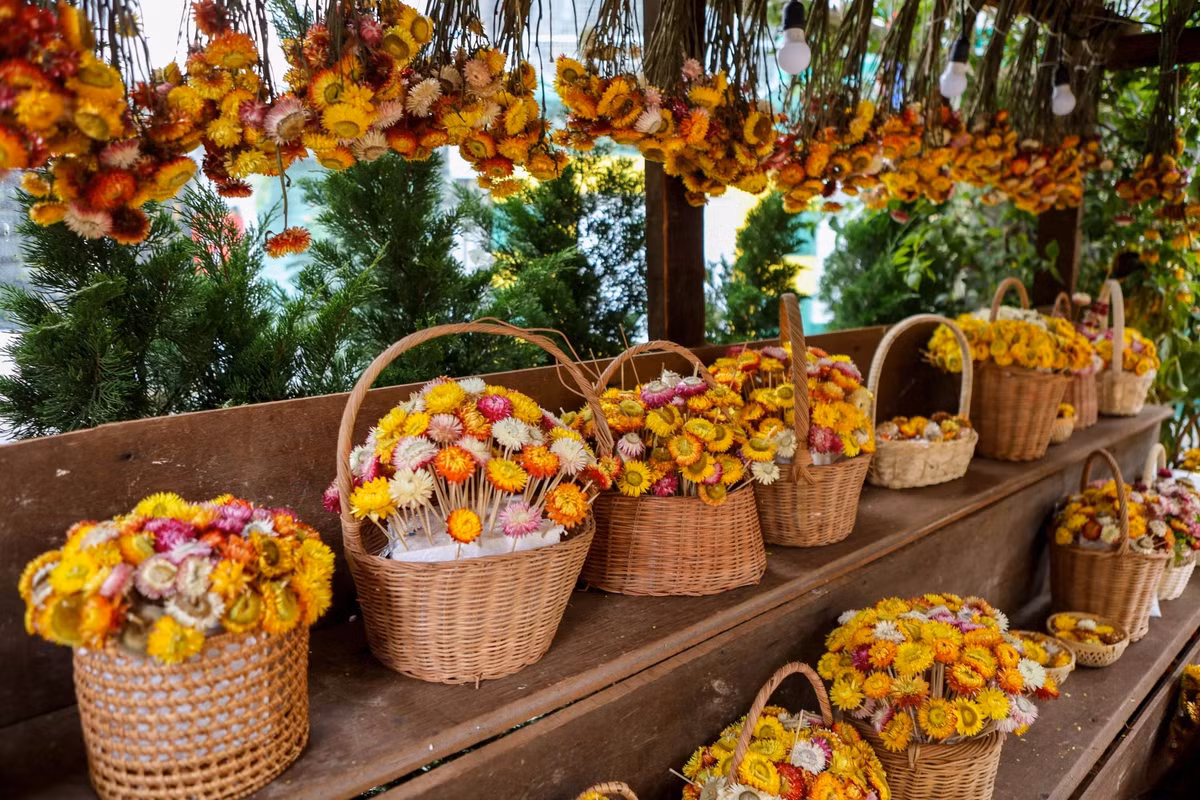 Không gian trưng bày nhiều hoa khô đẹp mắt.