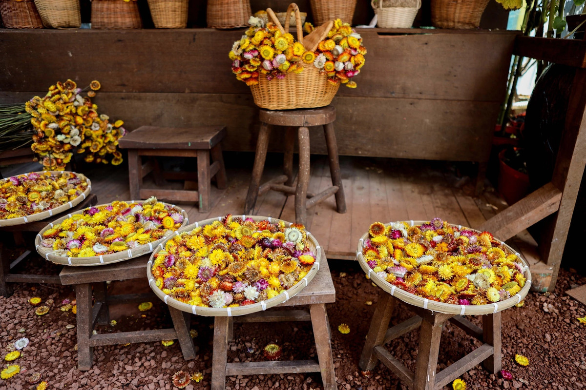 Quán đã dùng hơn 400 chậu hoa tươi và 150 ký hoa khô được nhập từ Đà Lạt về để trang trí.