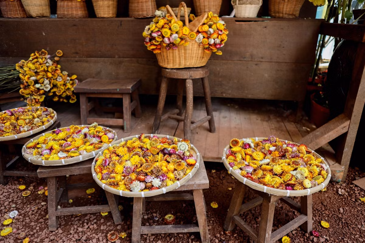 Quán đã dùng hơn 400 chậu hoa tươi và 150 ký hoa khô được nhập từ Đà Lạt về để trang trí.