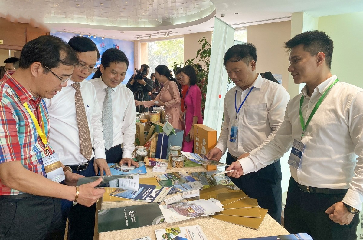 Ninh Binh - Thanh Hoa - Nghe An - Ha Tinh: Hanh trinh trai nghiem thu vi-Hinh-2