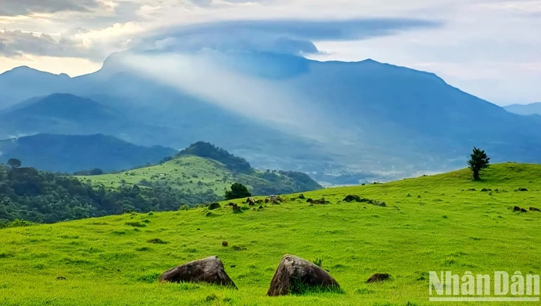 Kham pha doi co Xa Reng dep bac nhat mien tay Quang Tri