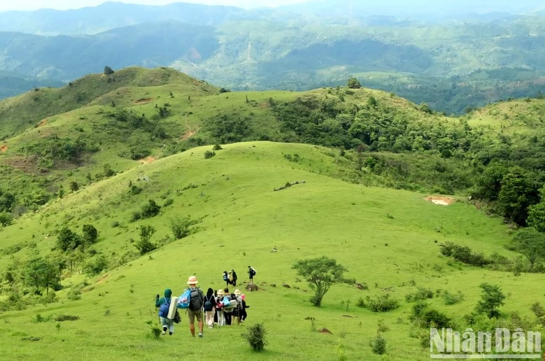 Kham pha doi co Xa Reng dep bac nhat mien tay Quang Tri-Hinh-2