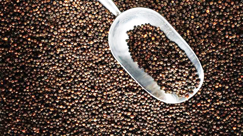 Giá hạt tiêu tăng nóng, xuất khẩu của Việt Nam tăng đột biến Gia hat tieu tang nong, xuat khau cua Viet Nam tang dot bien