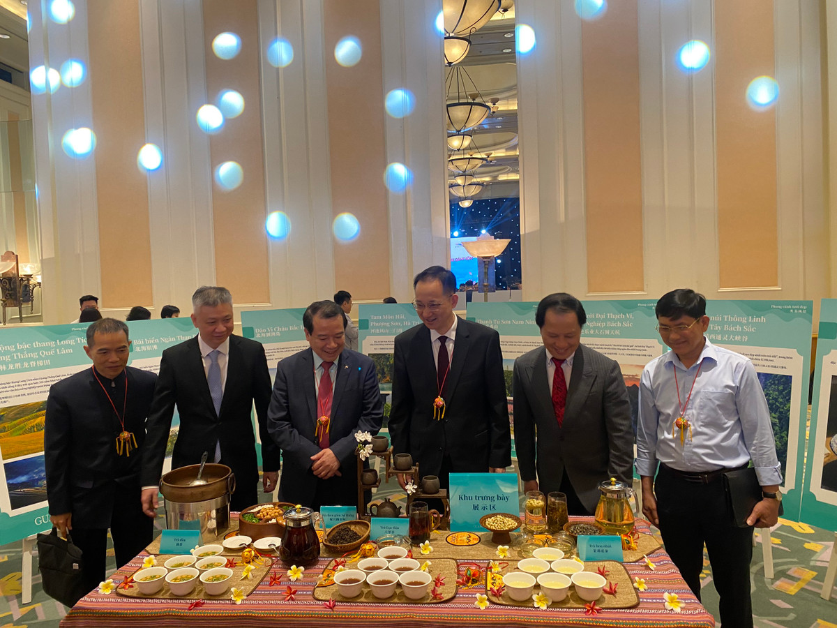 Quang Tay quang ba du lich van hoa tra va danh thang the gioi-Hinh-3