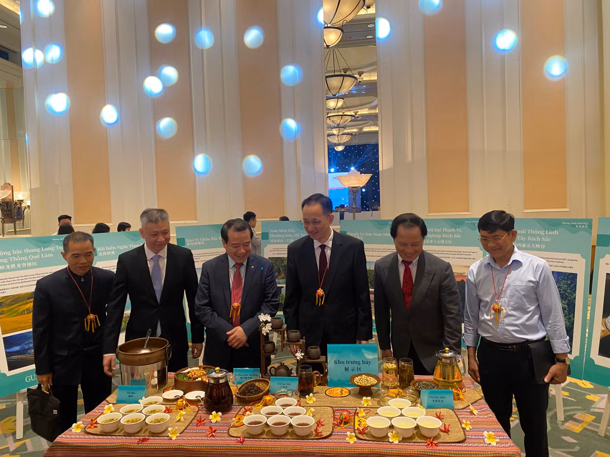 Quang Tay quang ba du lich van hoa tra va danh thang the gioi-Hinh-3