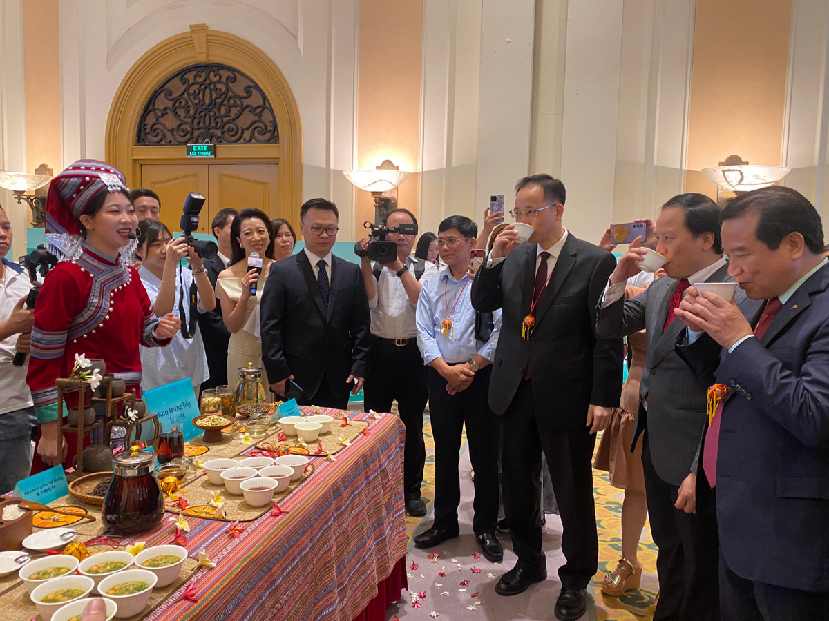 Quang Tay quang ba du lich van hoa tra va danh thang the gioi-Hinh-4