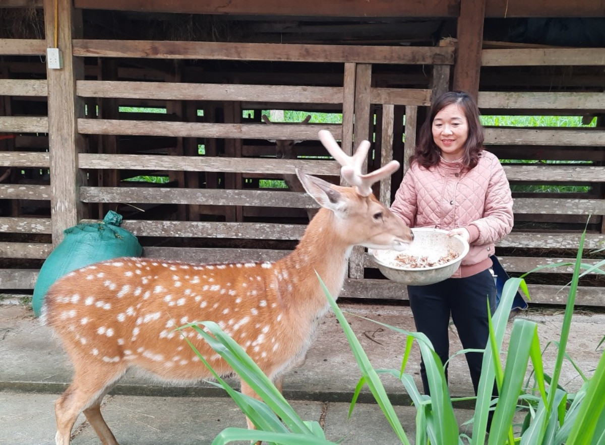 Thuc hu vo chong o Ha Tinh 