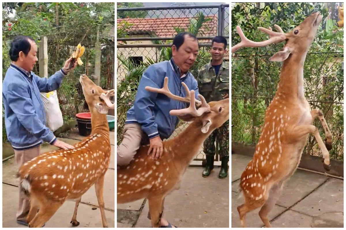 Thuc hu vo chong o Ha Tinh 