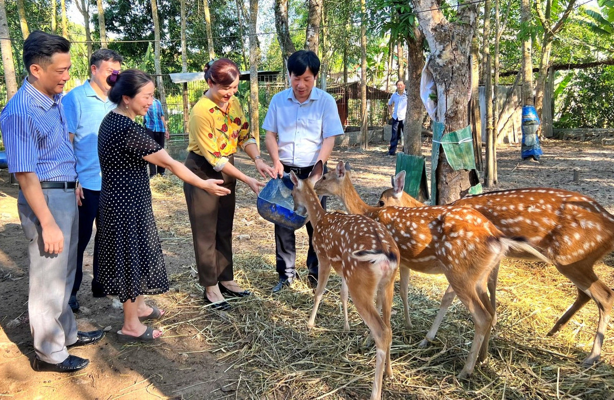 Thuc hu vo chong o Ha Tinh 