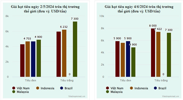Mot loai hat cua Viet Nam tu chot bang len dat nhat the gioi