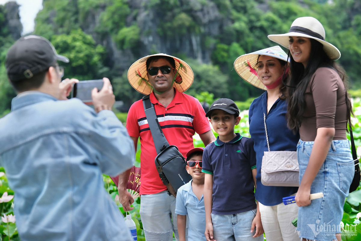 Gia đình anh Rajesh ghé thẳng đầm sen này ngay sau khi tới sân bay Nội Bài. “Tôi được rất nhiều bạn bè gợi ý Ninh Bình là địa điểm đẹp, độc đáo nhất định phải trải nghiệm khi tới Việt Nam”, nam du khách Ấn Độ chia sẻ.