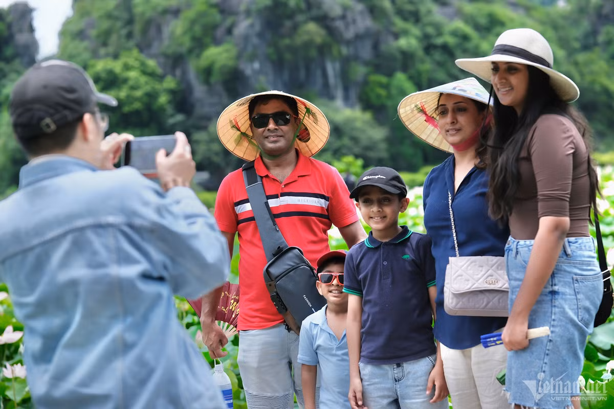 Gia đình anh Rajesh ghé thẳng đầm sen này ngay sau khi tới sân bay Nội Bài. “Tôi được rất nhiều bạn bè gợi ý Ninh Bình là địa điểm đẹp, độc đáo nhất định phải trải nghiệm khi tới Việt Nam”, nam du khách Ấn Độ chia sẻ.