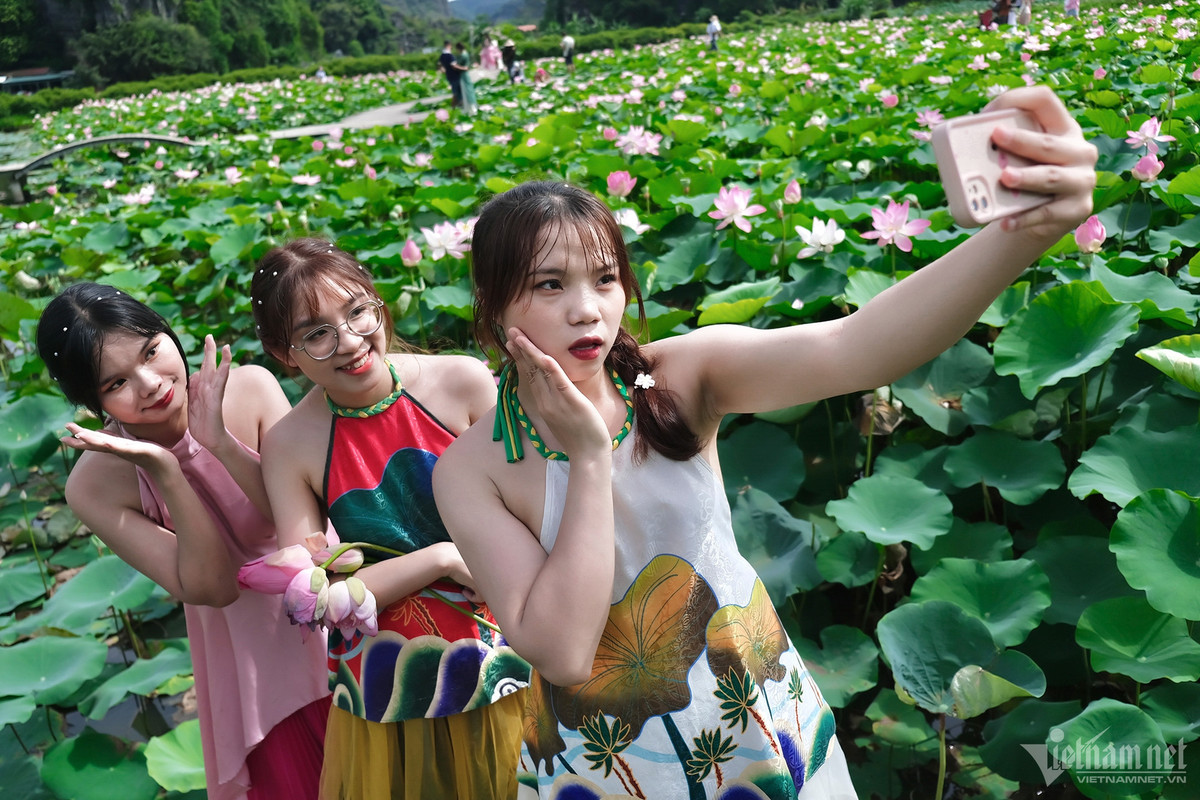 Thủy (áo trắng, sinh năm 2000) cùng các bạn đi xe máy hơn 4 tiếng từ Bắc Ninh đến tham quan Hang Múa. “Chúng em dự tính sau khi chụp ảnh ở đầm sen sẽ lên đỉnh núi Hang Múa để ngắm được toàn cảnh Tam Cốc”, bạn trẻ nói.
