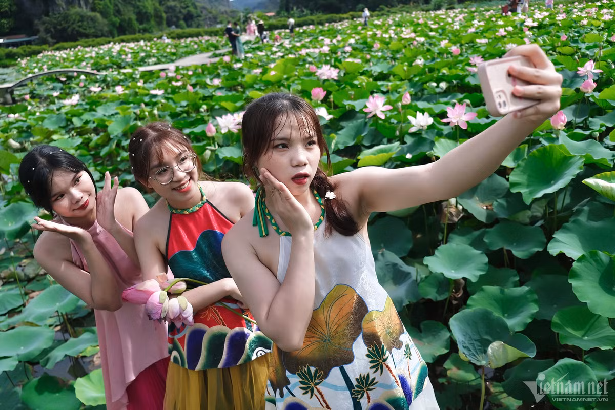 Thủy (áo trắng, sinh năm 2000) cùng các bạn đi xe máy hơn 4 tiếng từ Bắc Ninh đến tham quan Hang Múa. “Chúng em dự tính sau khi chụp ảnh ở đầm sen sẽ lên đỉnh núi Hang Múa để ngắm được toàn cảnh Tam Cốc”, bạn trẻ nói.