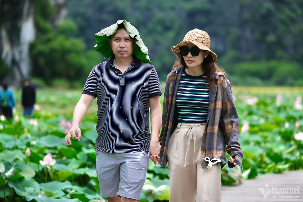 Bất chấp nắng nóng, nhiệt độ ngoài trời có lúc lên tới 36 độ C, nhiều du khách vẫn “vượt khó” để chụp hình với hoa sen.