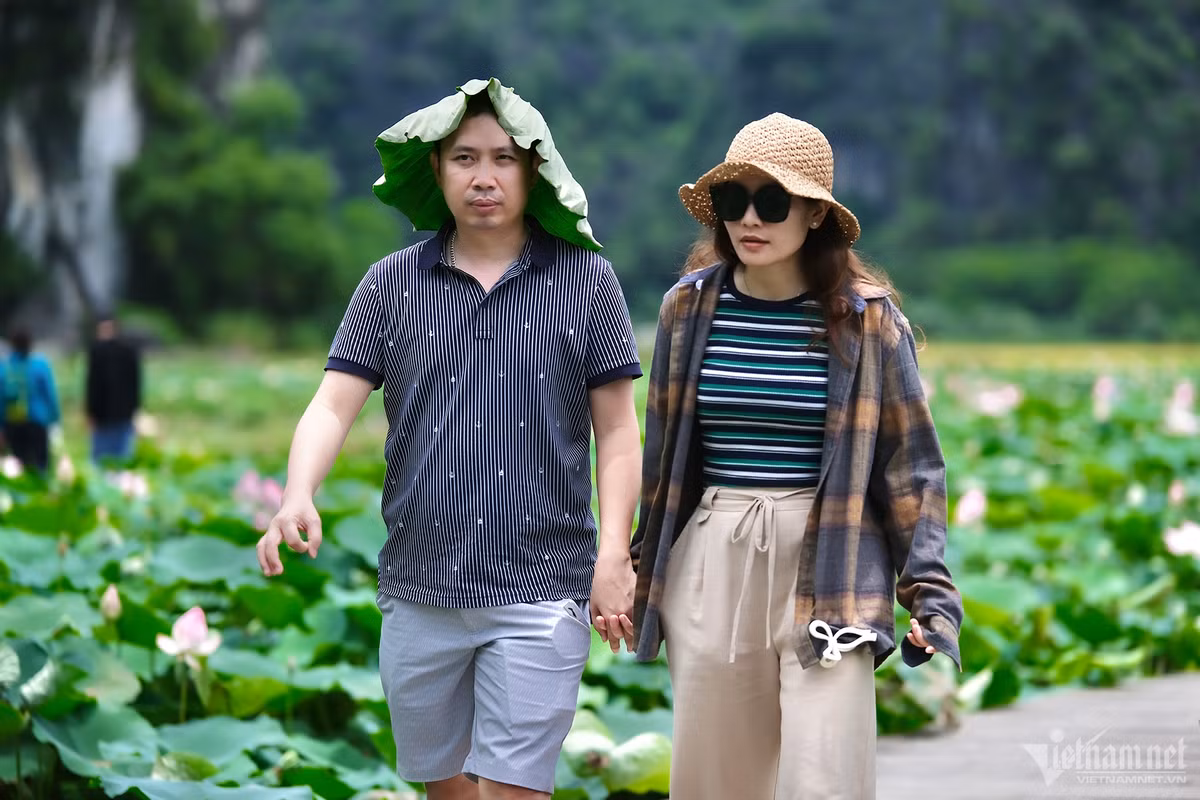 Bất chấp nắng nóng, nhiệt độ ngoài trời có lúc lên tới 36 độ C, nhiều du khách vẫn “vượt khó” để chụp hình với hoa sen.