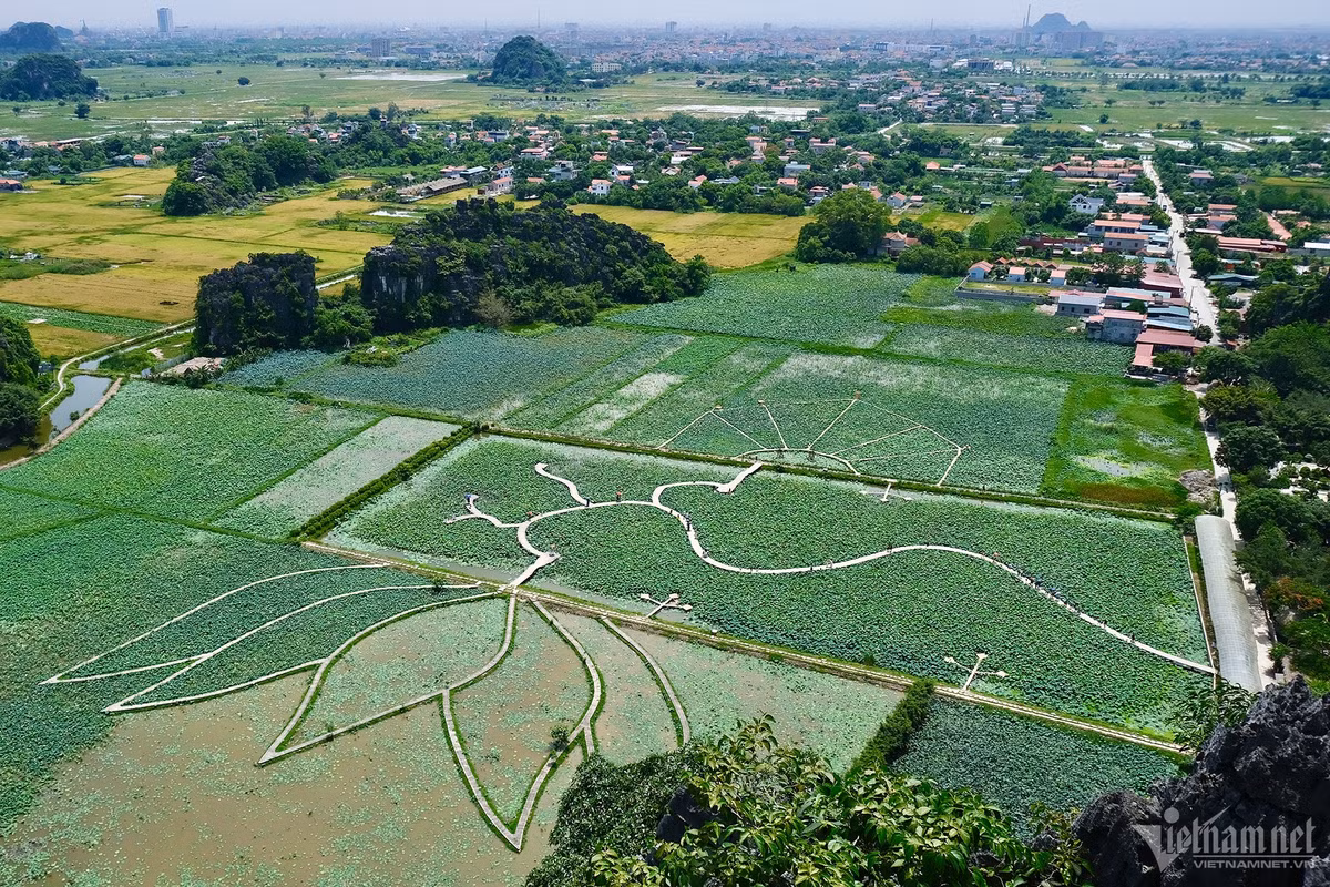 Đầm sen này rộng khoảng 1ha, là địa điểm du lịch nổi tiếng của Ninh Bình. Nhiều bạn trẻ di chuyển từ Hà Nội bằng xe máy tới đây hết khoảng 3 tiếng.