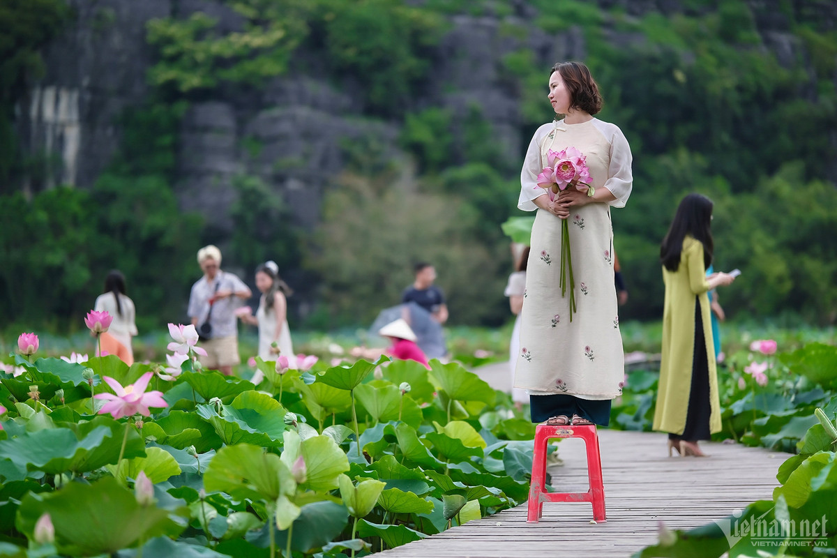 Một nhiếp ảnh gia cho biết, khoảng thời gian lý tưởng nhất để chụp hình ở hồ sen là từ 5h30-7h để tránh tình trạng chen chúc. Ngoài ra nếu đến vào buổi chiều, khách thường chọn lúc ánh nắng mặt trời đã dịu hoặc khi hoàng hôn buông xuống. Thu Trang (Hà Nội) ra đầm sen chụp ảnh lúc 6h30. “Tôi phải tranh thủ đi sớm khi không quá đông để có thể thoải mái thả dáng mà không bị vướng người khác lọt vào khung hình”, cô nói.