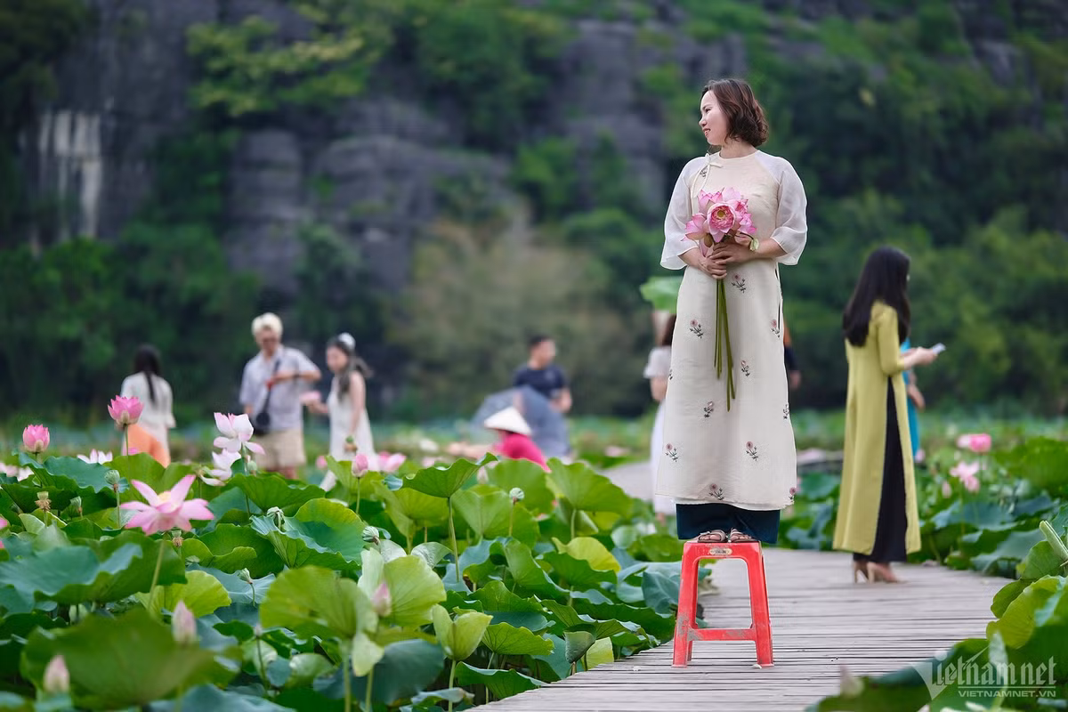 Một nhiếp ảnh gia cho biết, khoảng thời gian lý tưởng nhất để chụp hình ở hồ sen là từ 5h30-7h để tránh tình trạng chen chúc. Ngoài ra nếu đến vào buổi chiều, khách thường chọn lúc ánh nắng mặt trời đã dịu hoặc khi hoàng hôn buông xuống. Thu Trang (Hà Nội) ra đầm sen chụp ảnh lúc 6h30. “Tôi phải tranh thủ đi sớm khi không quá đông để có thể thoải mái thả dáng mà không bị vướng người khác lọt vào khung hình”, cô nói.