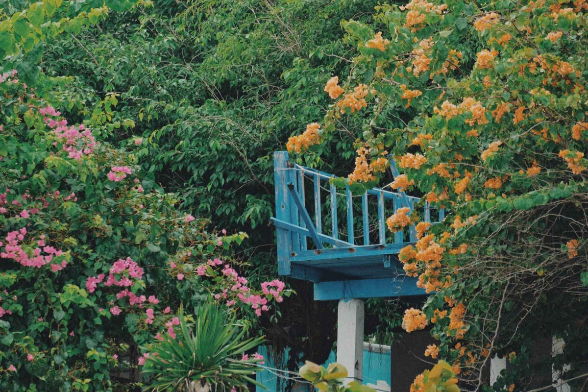 Làng chài này còn khá hoang sơ, ít người biết đến khi du lịch Phú Yên. Ảnh: Tuyên Parafu