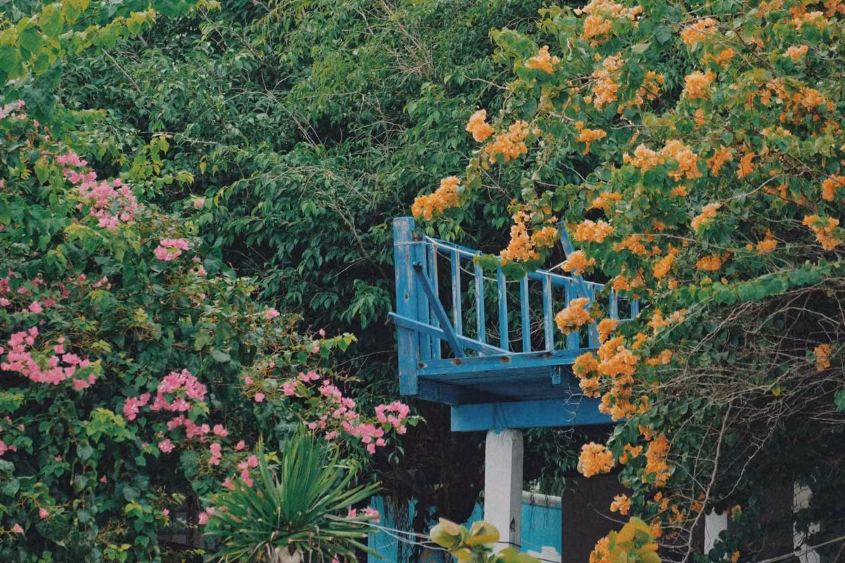 Làng chài này còn khá hoang sơ, ít người biết đến khi du lịch Phú Yên. Ảnh: Tuyên Parafu