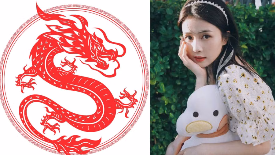 Tuổi Thìn: Trong 12 con giáp, tuổi Thìn là người theo đuổi sự cân bằng và hòa hợp. Họ hòa đồng, giỏi giải quyết xung đột và thường được ví như “người hòa giải” trong vòng tròn bạn bè. 