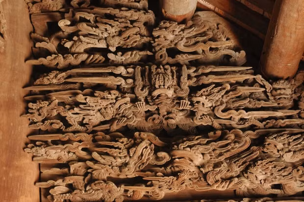 Chiem nguong hinh tuong rong tai nhung cong trinh co o Hai Phong-Hinh-2