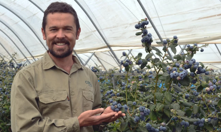 Trai viet quat lon nhat the gioi, gan bang mot qua bong golf-Hinh-2