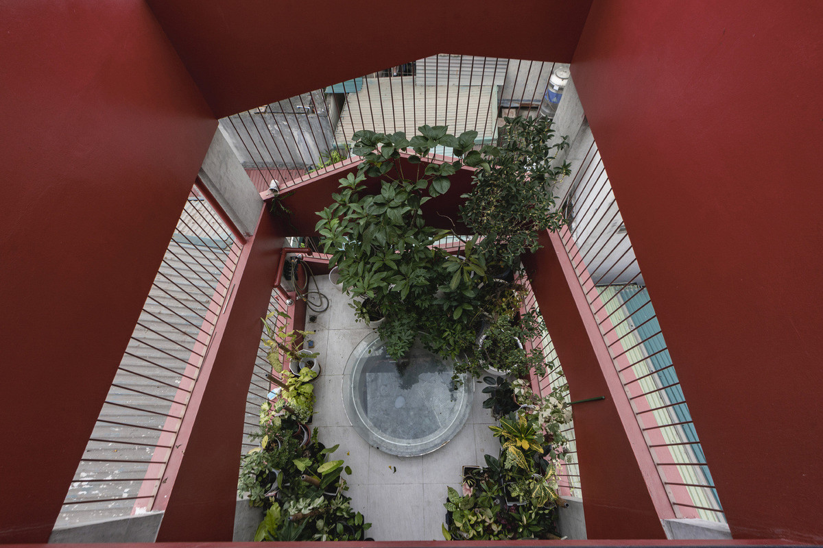 Khu vườn cây xanh trên tầng cao nhất của ngôi nhà.