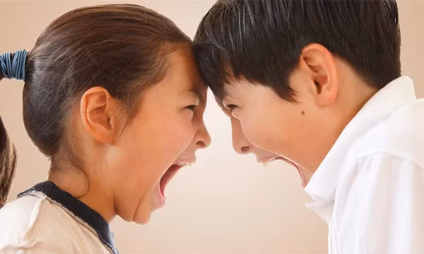 Sự bất hòa giữa anh em: Ngoài cha mẹ, anh chị em là những người thân thiết, ruột thịt nhất của chúng ta. Tình anh em khó có ai có thể chia rẽ. 