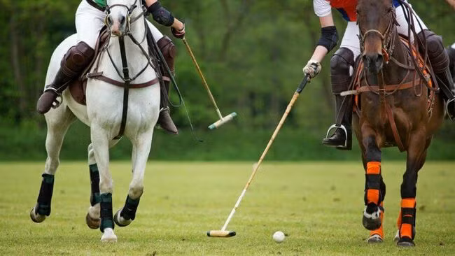 Môn thể thao Polo. Polo là môn thể thao được giới hoàng gia ưa chuộng. Một thành viên trong Câu lạc bộ Polo phải trả 3.000USD (69 triệu VND) một năm và 250.000USD (5,7 tỷ VND) cho 01 con ngựa.