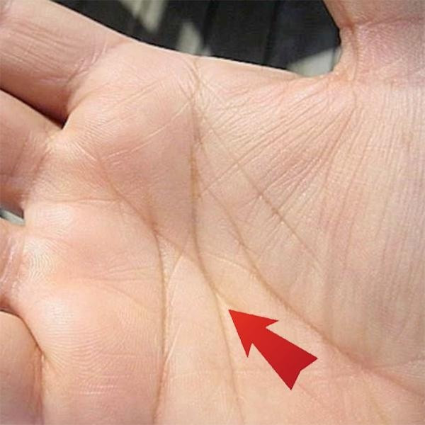 4 diem cuc hiem tren ban tay la “than Tai ho menh”, mang vo so loc la