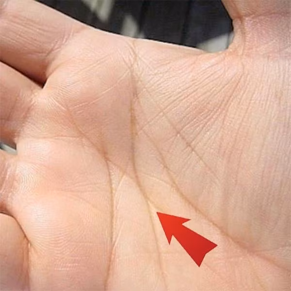 4 diem cuc hiem tren ban tay la “than Tai ho menh”, mang vo so loc la