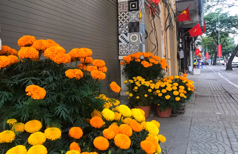 Gần 9h sáng nhưng nhà nhà vẫn còn đóng kín cửa.